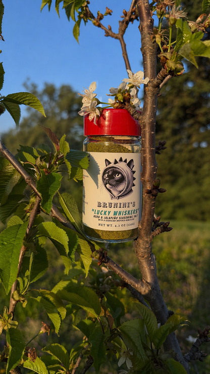Brunini's "Lucky Whiskers" - Georgian Mountain Herb Seasoning Salt