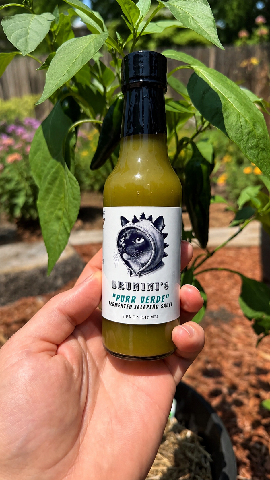 Brunini's "Purr Verde" - Fermented Jalapeño Pepper Sauce with Rice Vinegar